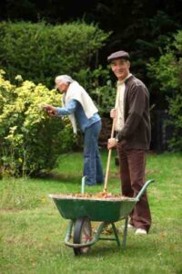 Tame Foraging: Collecting Unwanted Items for Free Image